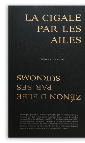 La cigale par les ailes