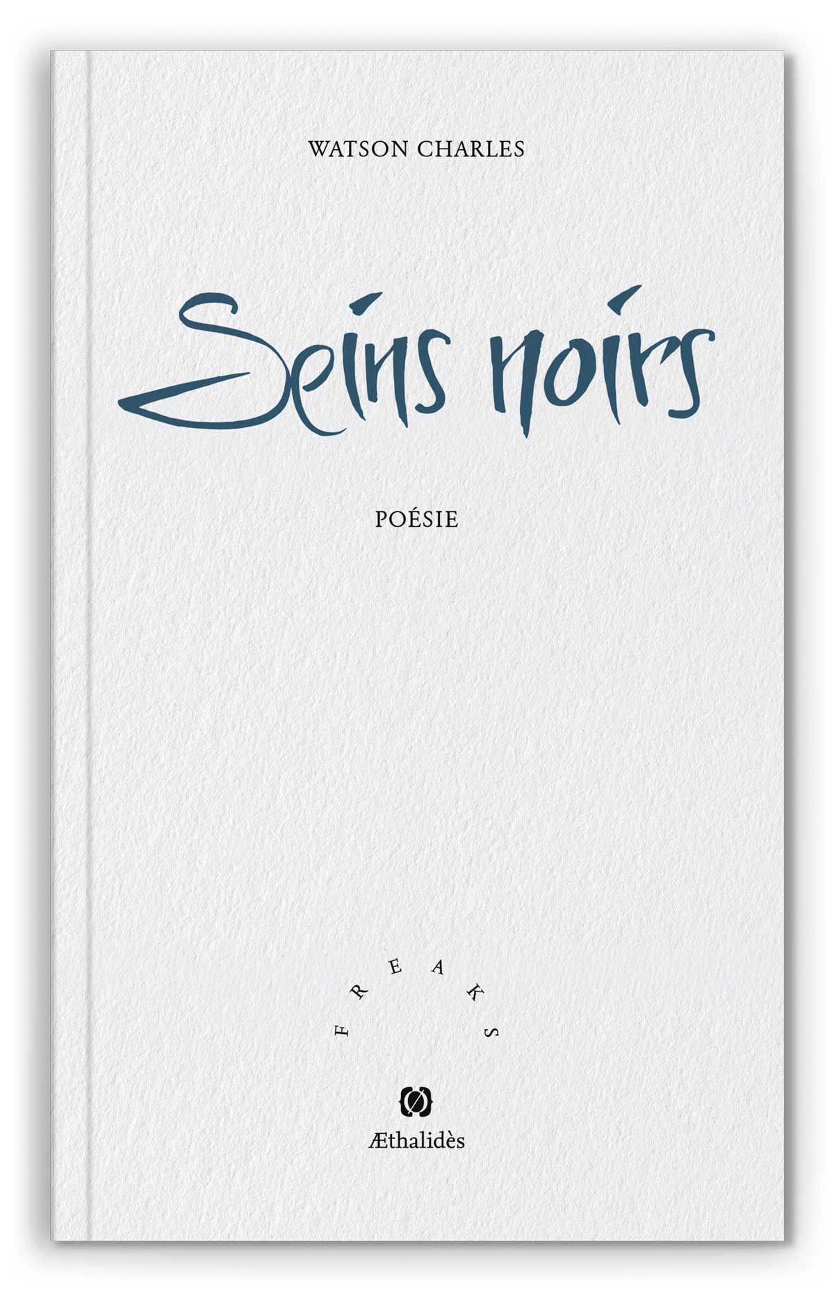 F19-Æthalides_mockup_seinsnoirs_recto