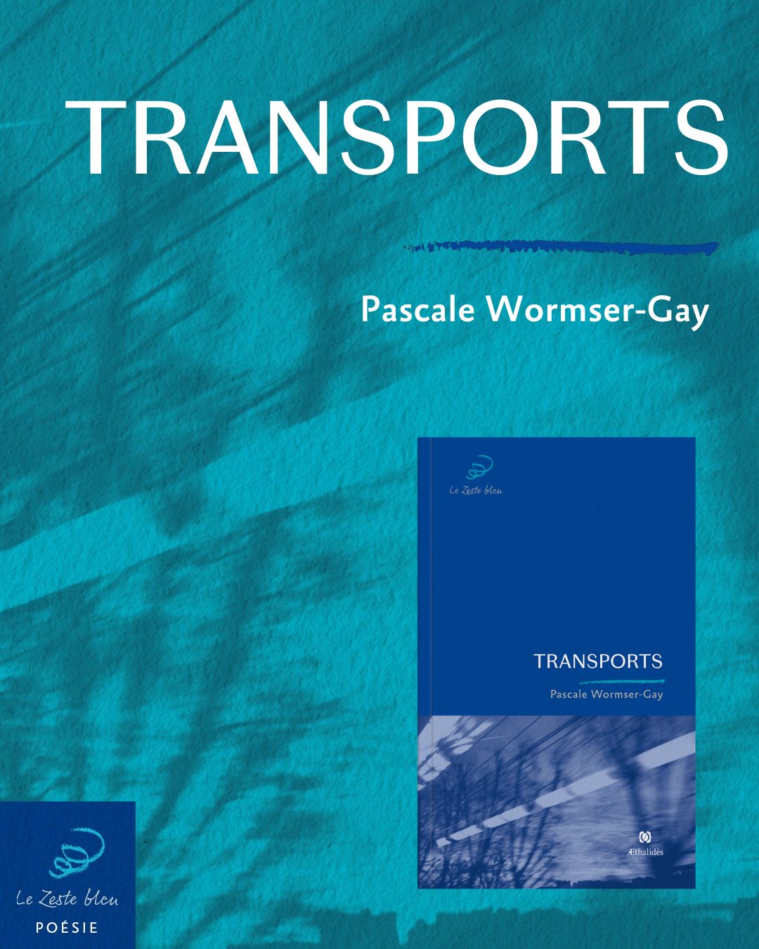 Transports-nouveauté