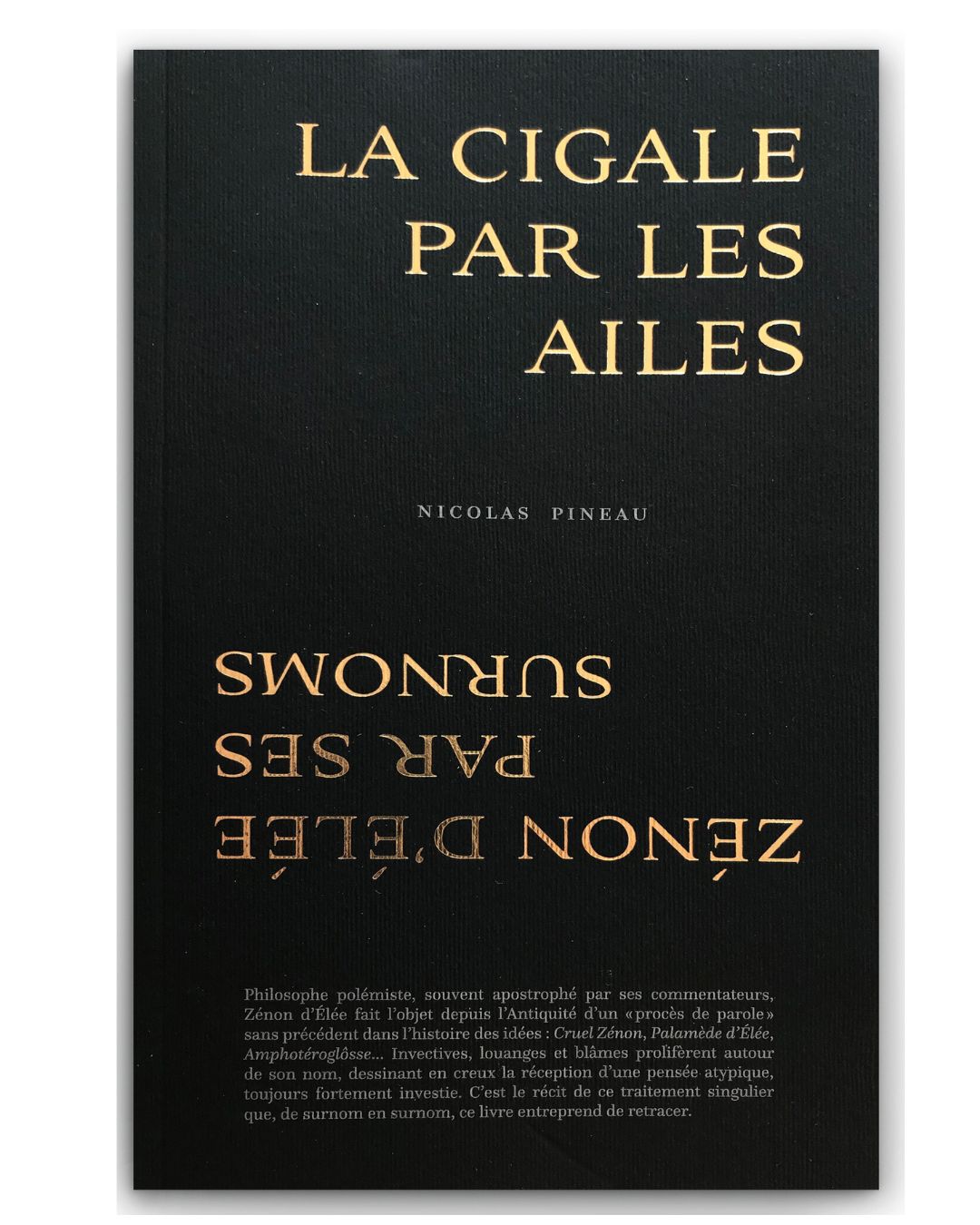 De sable plain- La cigale par les ailes