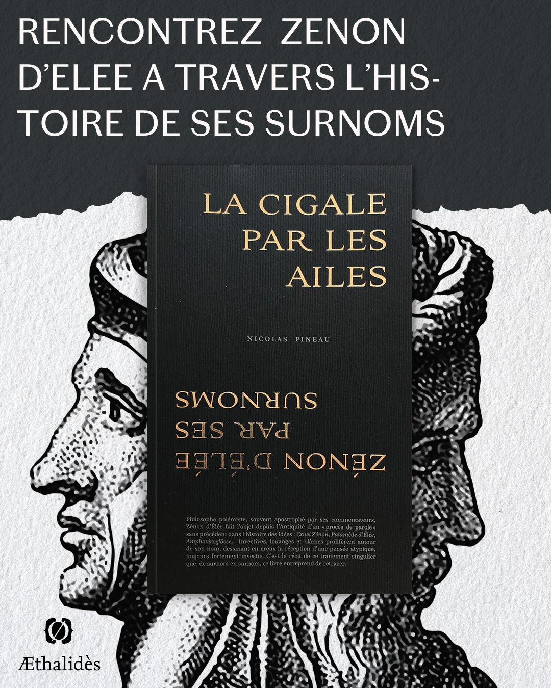 Æthalides_2La cigale_1080x1350_ok