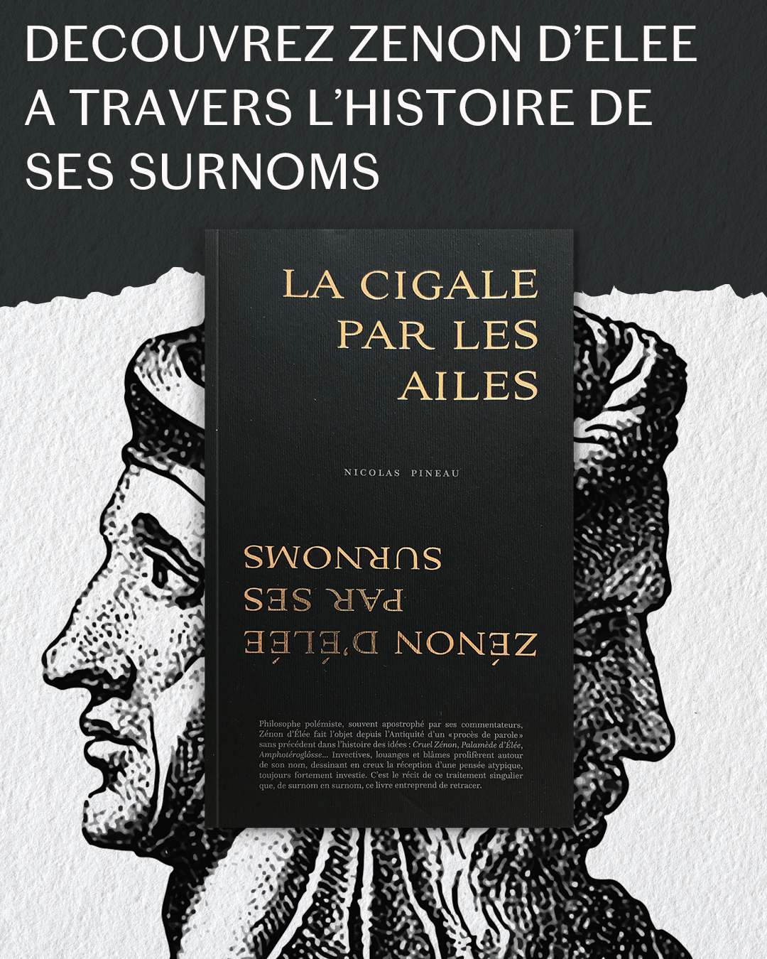 La Cigale par les ailes de Nicolas Pineau - Découvrez Zénon d'elle à travers l'histoire de ses surnoms