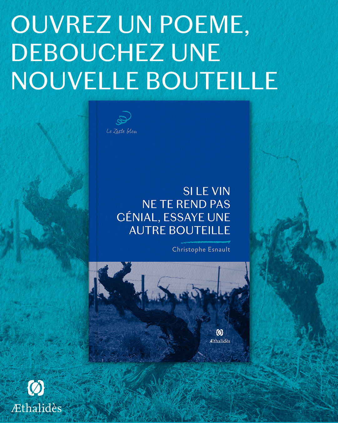 Si le vin ne te rend pas génial v2